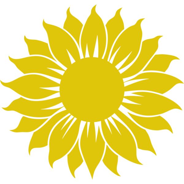 Sunflower Thumbnail